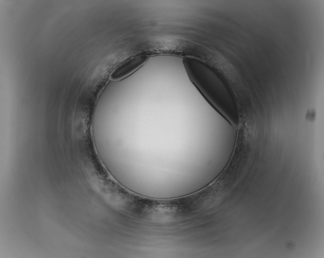 X0000113120546200909111142