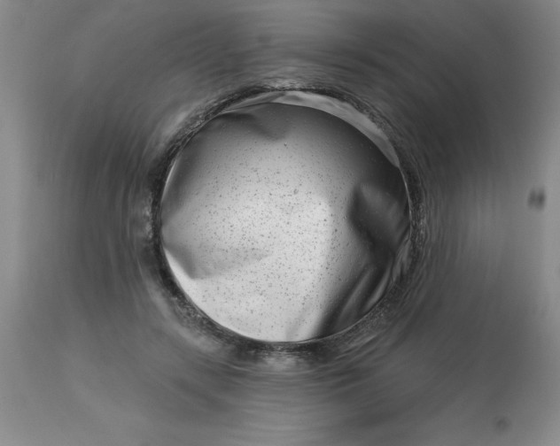 X0000113120547200909111142