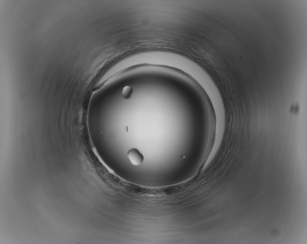 X0000113120548200909111142