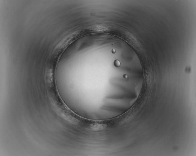 X0000113120549200909111142