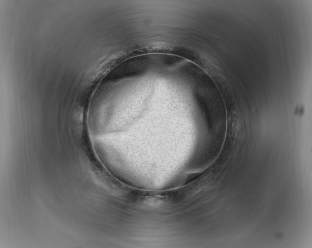 X0000113120550200909111142