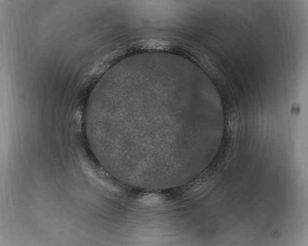 X0000113120551200909111142