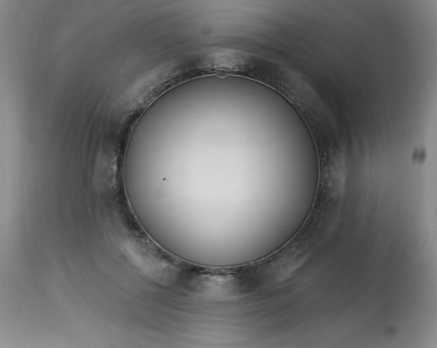 X0000113120552200909111142