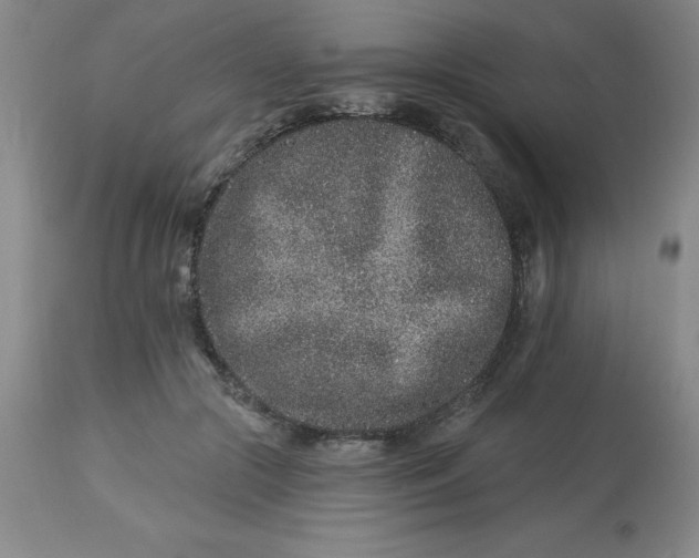 X0000113120553200909111142