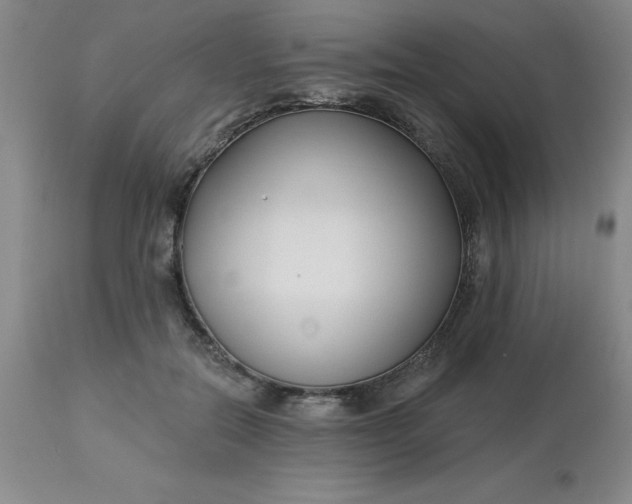 X0000113120554200909111142