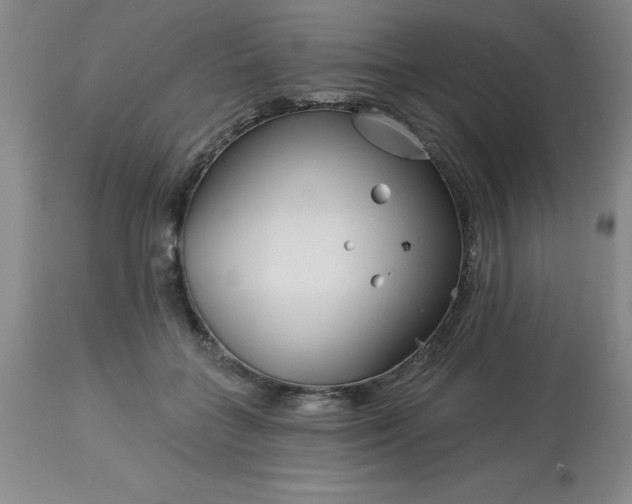 X0000113120555200909111142