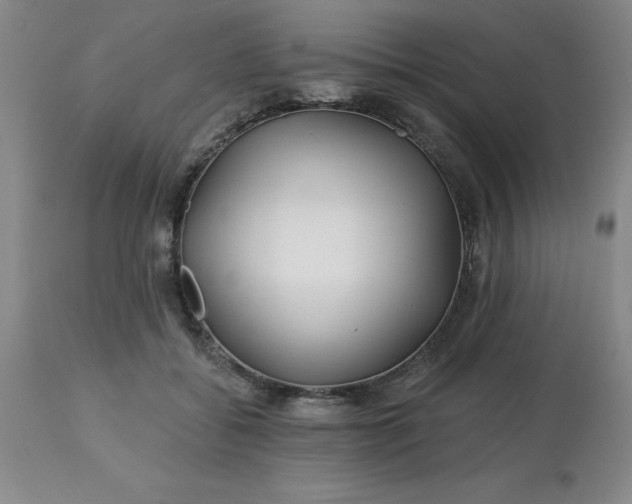 X0000113120556200909111142