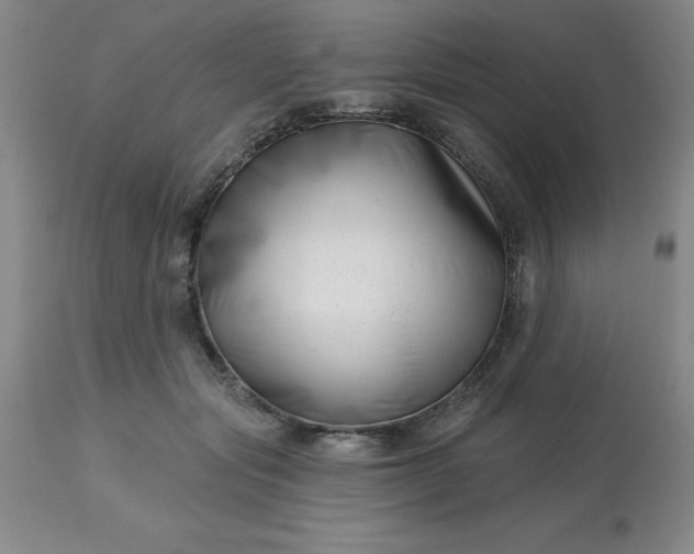 X0000113120557200909111142