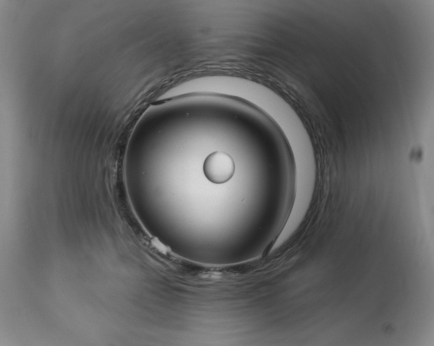 X0000113120558200909111142