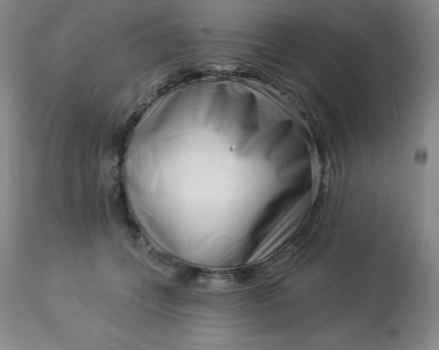 X0000113120559200909111142