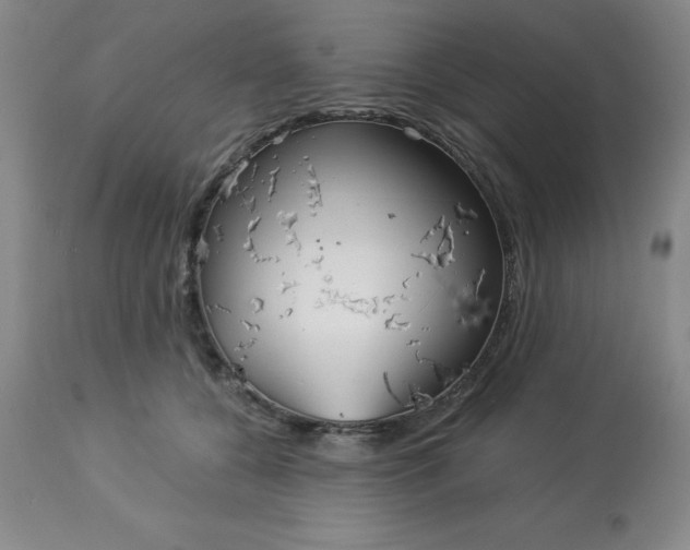 X0000113120560200909111142