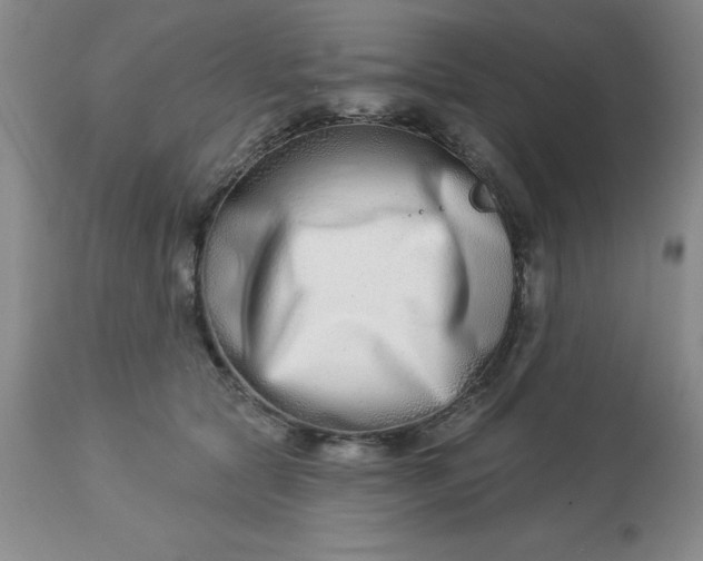 X0000113120561200909111142