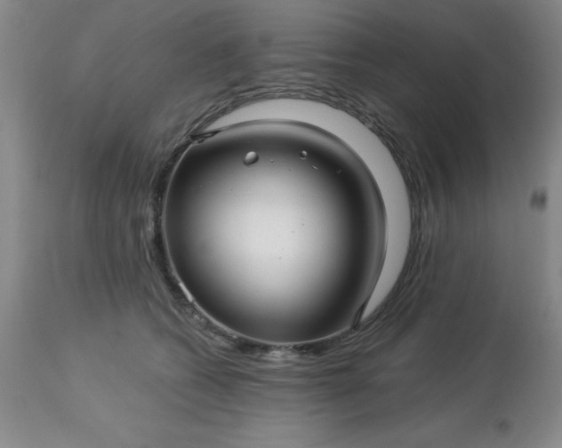 X0000113120562200909111142