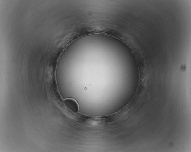 X0000113120563200909111142