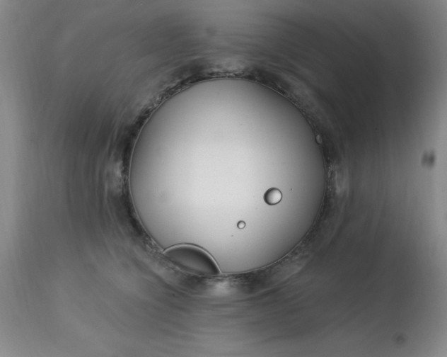 X0000113120564200909111143