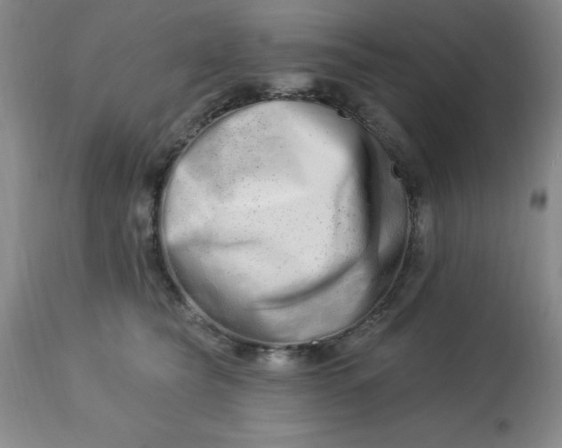 X0000113120565200909111143