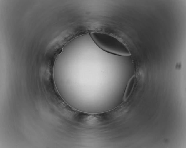 X0000113120566200909111143