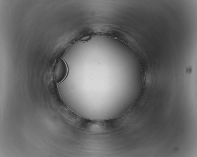 X0000113120567200909111143