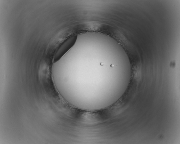 X0000113120568200909111143