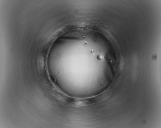 X0000113120569200909111143