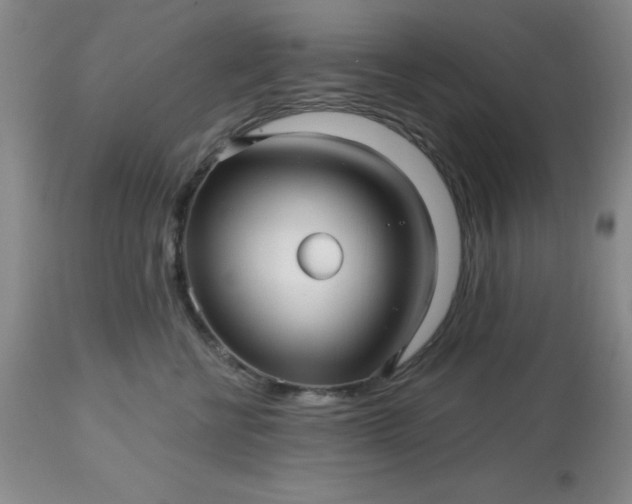 X0000113120570200909111143