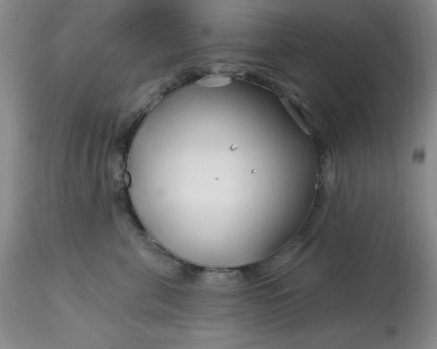 X0000113120571200909111143