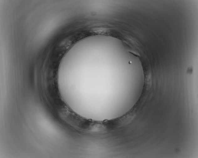 X0000113120572200909111143