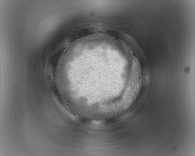 X0000113120573200909111143