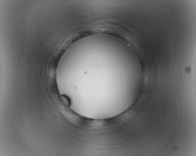 X0000113120574200909111143