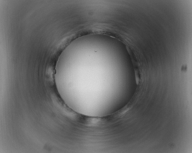 X0000113120575200909111143