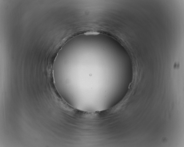 X0000113120576200909111143