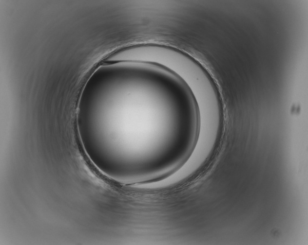 X0000113120577200909111142