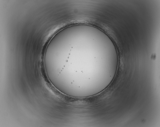 X0000113120578200909111142