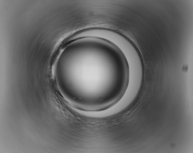 X0000113120579200909111142