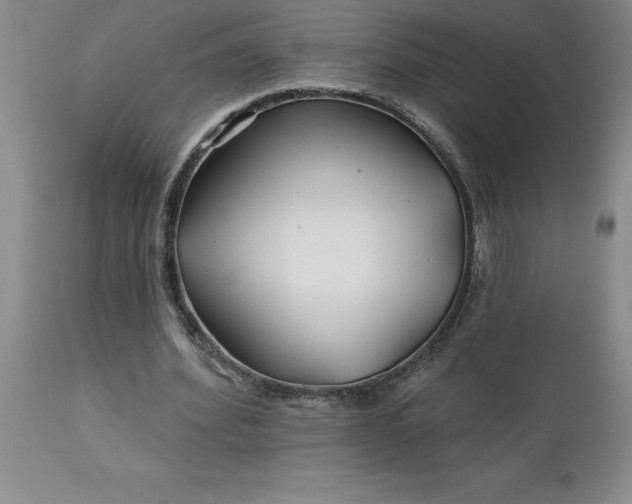 X0000113120580200909111142