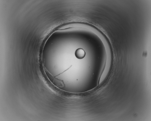 X0000113120581200909111142