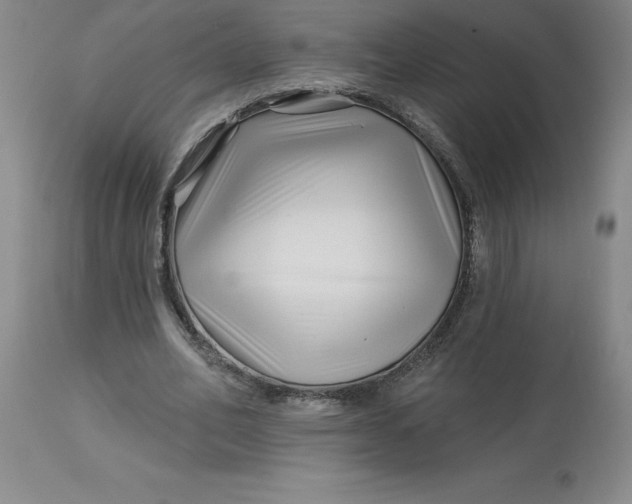 X0000113120582200909111142