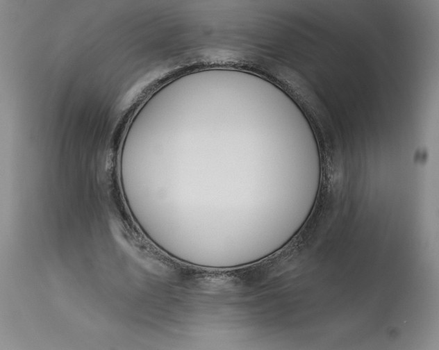 X0000113120583200909111142