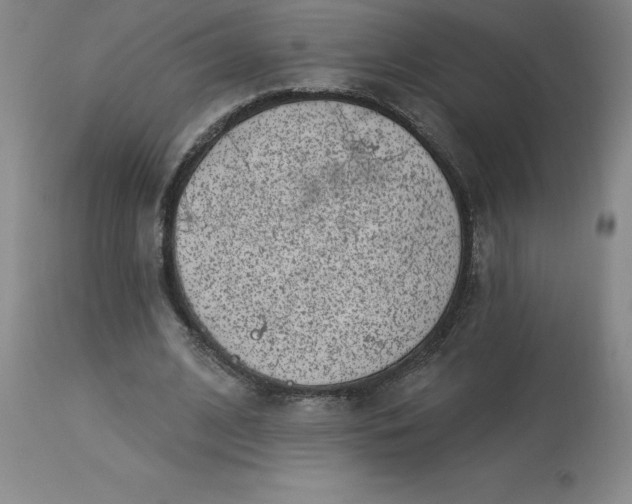 X0000113120584200909111142