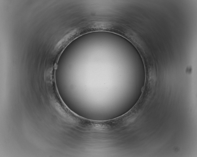 X0000113120585200909111142