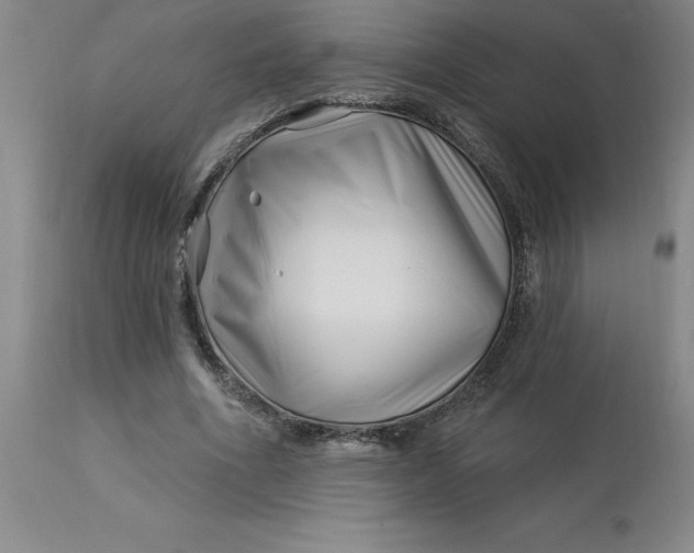 X0000113120586200909111142