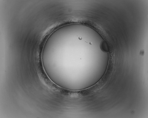 X0000113120587200909111142