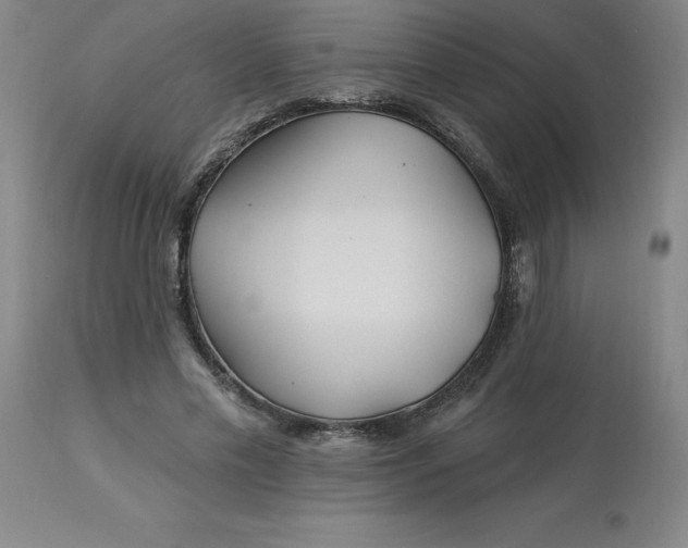 X0000113120589200909111142