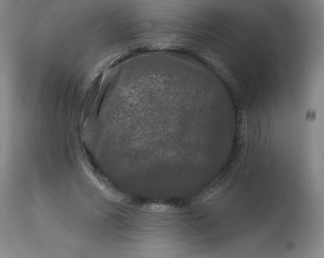 X0000113120590200909111142