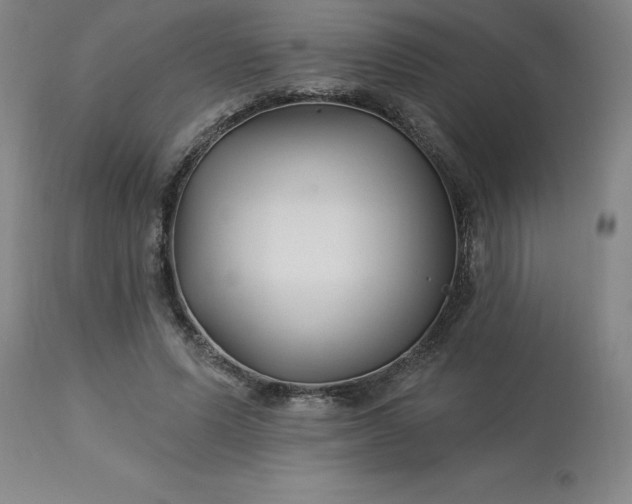 X0000113120591200909111142