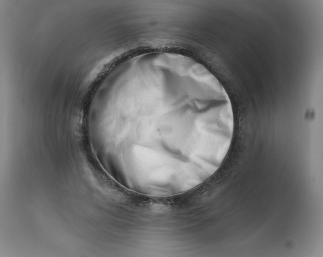 X0000113120592200909111141