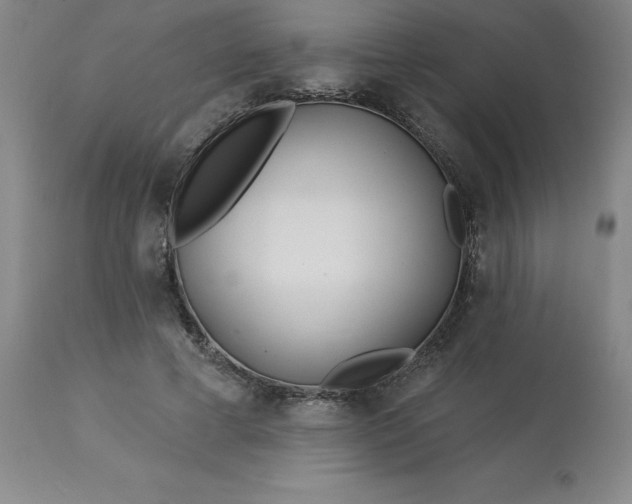 X0000113120593200909111141