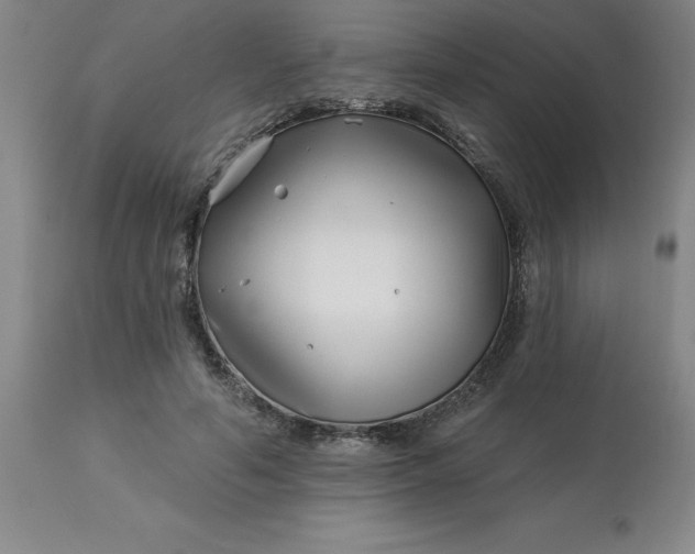 X0000113120594200909111141