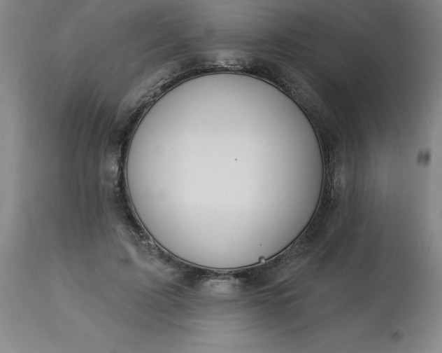 X0000113120595200909111141