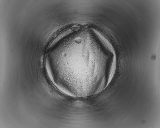 X0000113120596200909111141